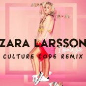 Обложка Zara Larsson – I Would Like (Culture Code Remix)