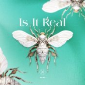 Обложка Kabo – Is It Real (Extended Mix)