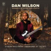Обложка Dan Wilson – Bird of Beauty
