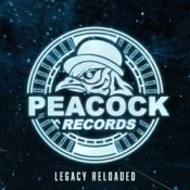 Dr. Peacock & Hyrule War - Imagination (Original Mix)