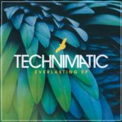 Обложка Technimatic – Not Far To Go (Mixed)