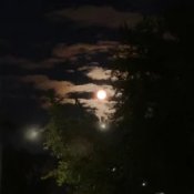 Обложка ALEKCION – Ніч кохання