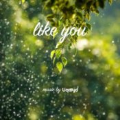 Обложка LiQWYD – Like You