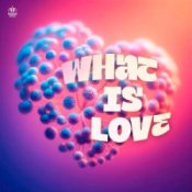 Обложка SYNFLO & Niki Four – What Is Love
