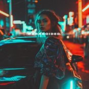 Обложка skyfall beats, AXTRAL INDEX – paranoided