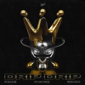Обложка R3HAB & Wukong & $MUSIC – Drip Drip