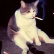 Обложка Lenar – Otro Trago