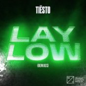 Tiesto - Lay Low (Arem Ozguc & Arman Aydin Remix)