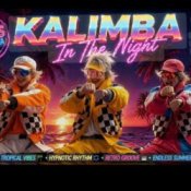 Обложка Kalimba in the night – Euro disco summer vibes
