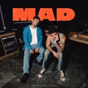 Обложка Martin Garrix & Lauv – MAD