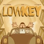 Обложка Tujamo & Adnan Veron & Erga – Lowkey (with Liquid Silva)