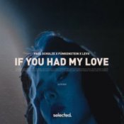 Обложка Paul Schulze & FÜNKENSTEIN & LEVII – If You Had My Love