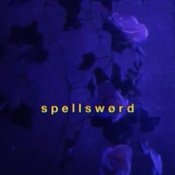 Обложка Spellsword – Portals