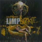 Обложка Limp Bizkit – Introbra