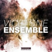 Обложка Vicetone – Ensemble (Original Mix)