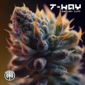 Обложка T-Kay – Ganjah VIP (Original Mix)