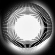 Обложка Disclosure – Moonlight