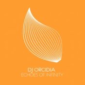 Обложка DJ Orcidia – Echoes Of Infinity (Extended Mix)