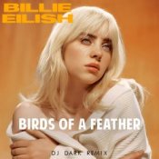 Обложка Billie Eilish – Birds Of A Feather