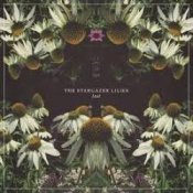 Обложка Lost World – Stargazer