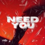 Обложка Brian Zeno – Need You