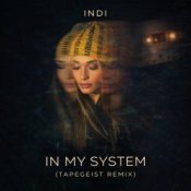 Обложка INDI – In My System