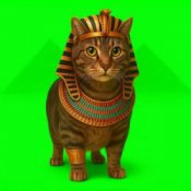 XertXetin – OIIA OIIA EGYPT CAT (Slowed)