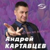 Обложка Андрей Картавцев – Летний дождь
