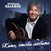 Вячеслав Малежик – В лето билеты