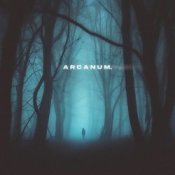 Обложка skyfall beats, silent anthem – arcanum