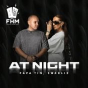 Обложка Papa Tin & Sharliz – At Night