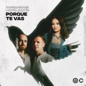 Обложка BASSMASSAGE & Sofía Martín – Porque Te Vas