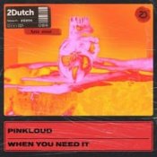 Обложка Pinkloud – When You Need It