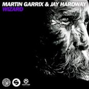 Обложка Martin Garrix & Jay Hardway – Wizard (Original Mix)