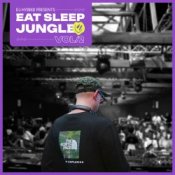 Обложка DJ Hybrid – Jungle Man