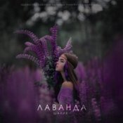 Обложка Шалих – Лаванда