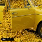 Обложка Zmeex – Eternal