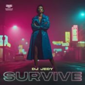 Обложка DJ JEDY – Survive