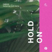 Обложка Fabich Feat. Josh Barry – Hold On