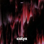 Calyx – Scavenger