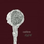 Обложка Calibre – No stopping