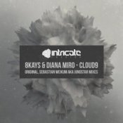 Обложка Diana Miro & 8Kays – Cloud9 (Sebastian Weikum Remix)