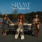 Обложка Honey Bxby & Queen Naija & BunnaB – Shame