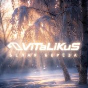 Обложка ViTaLiKuS – Белая берёза