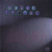 Обложка Wagon Christ – Sopping Shitty
