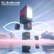 Обложка Dj Žaibas – Quicksilver