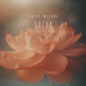 Обложка Amiel Milavi – Лотос
