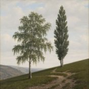 Обложка Сергей Видов – Берёза и тополь