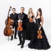 Обложка The String Quartet – Money