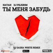Обложка Natan & DJ Piligrim – Ты Меня Забудь